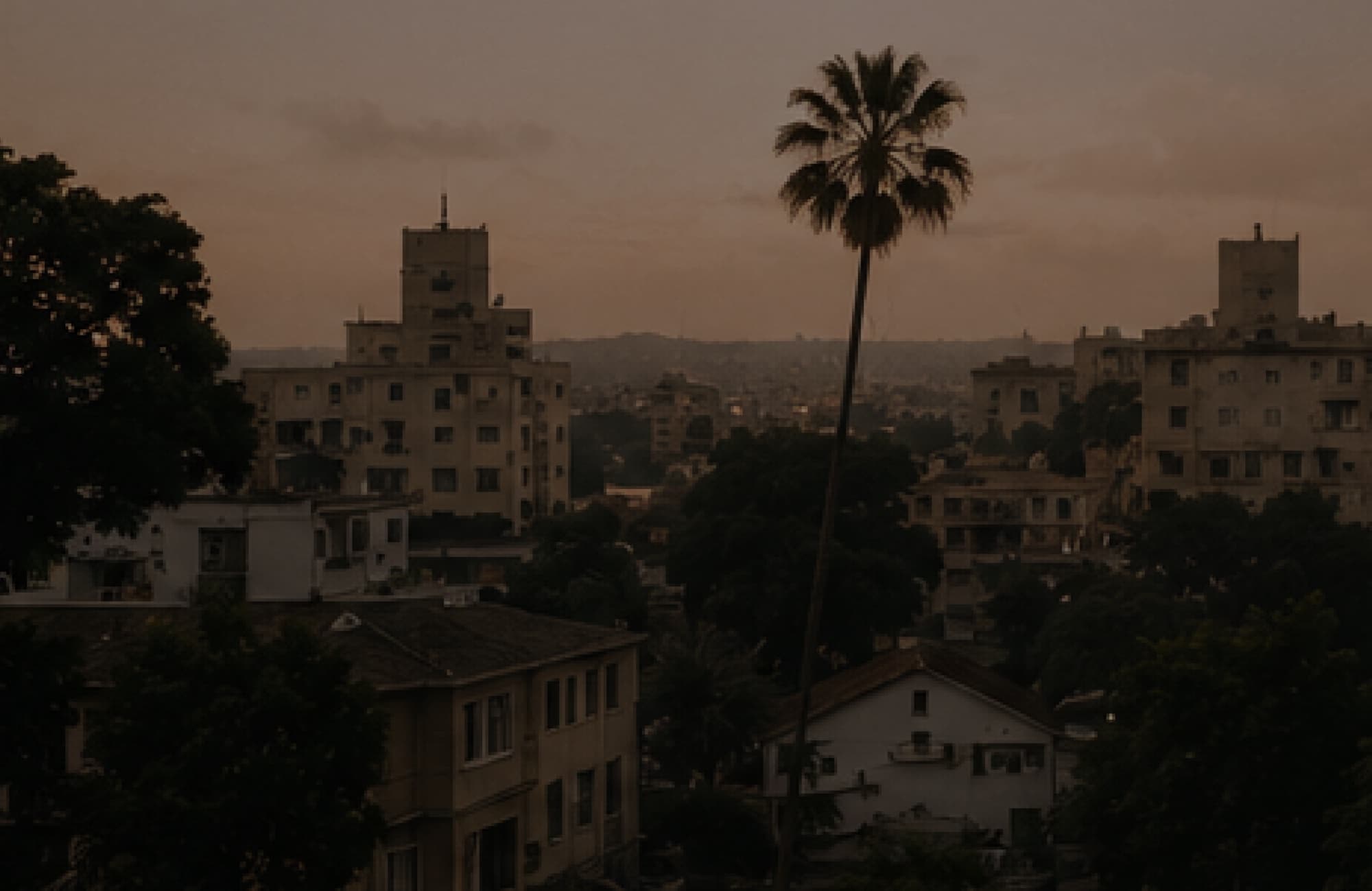 A hazy city skyline at dusk with a palm tree