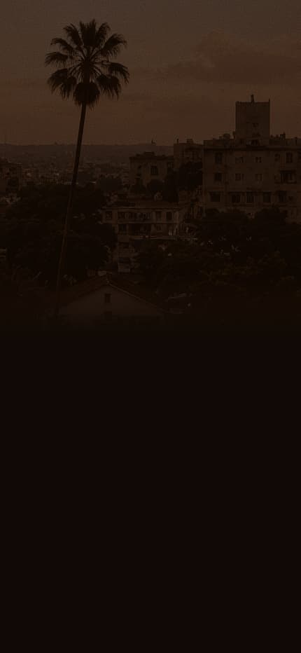 A hazy city skyline at dusk with a palm tree